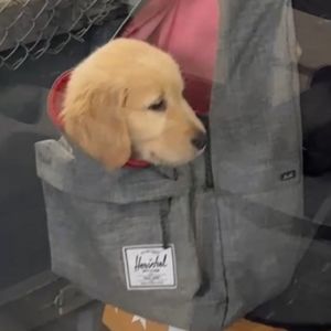 Meet your Posher, Emma